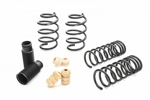 Focus St Rear Spring Perch 2013, 2014, 2015, 2016, 2017, 2018, 2019, Ford Focus ST - Springs ...